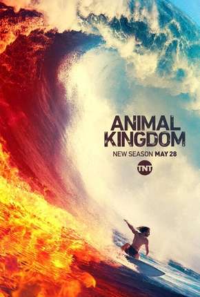 Animal Kingdom - 4ª Temporada Legendada Torrent