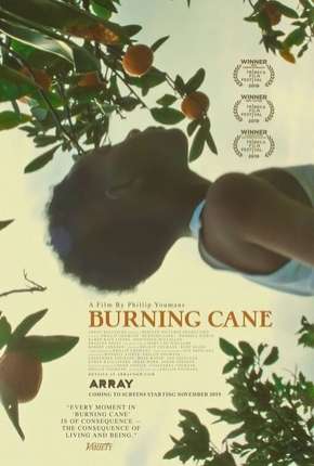 Burning Cane - Legendado Torrent