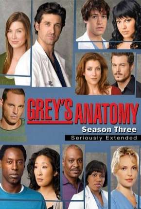 Greys Anatomy - 3ª Temporada - Completa Torrent