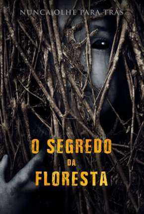 O Segredo da Floresta - Legendado Torrent