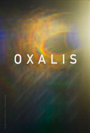 Oxalis - Legendado Torrent