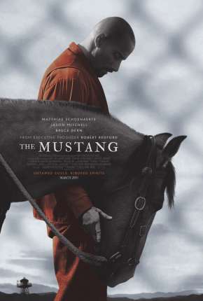 The Mustang - Legendado Torrent