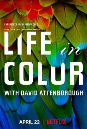 A Vida em Cores com David Attenborough - 1ª Temporada Completa Torrent