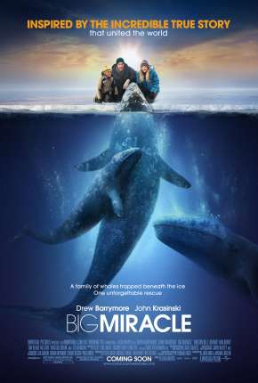 O Grande Milagre - Big Miracle Torrent