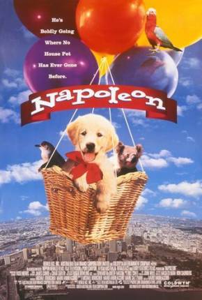 Napoleon, as Aventuras de um Cãozinho Valente Torrent