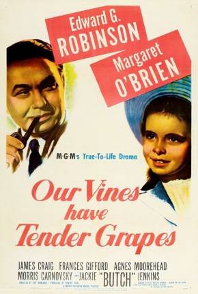 O Roseiral da Vida / Our Vines Have Tender Grapes Torrent