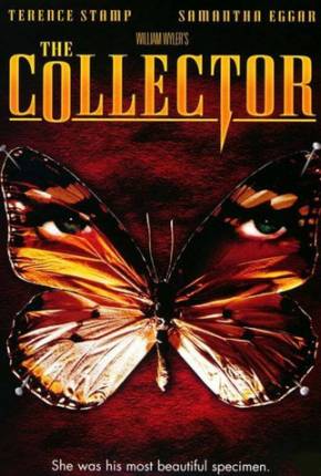 O Colecionador / The Collector Torrent