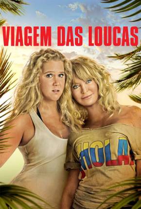 Viagem das Loucas / Snatched Torrent