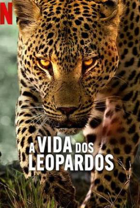 A Vida dos Leopardos Torrent