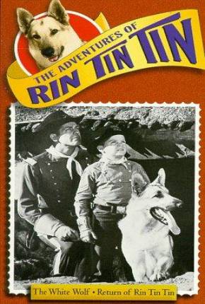 As Aventuras de Rin Tin Tin - 1ª Temporada Torrent