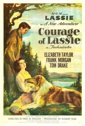 A Coragem de Lassie / Courage of Lassie Torrent