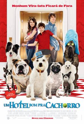 Um Hotel Bom Pra Cachorro (1080P) Torrent